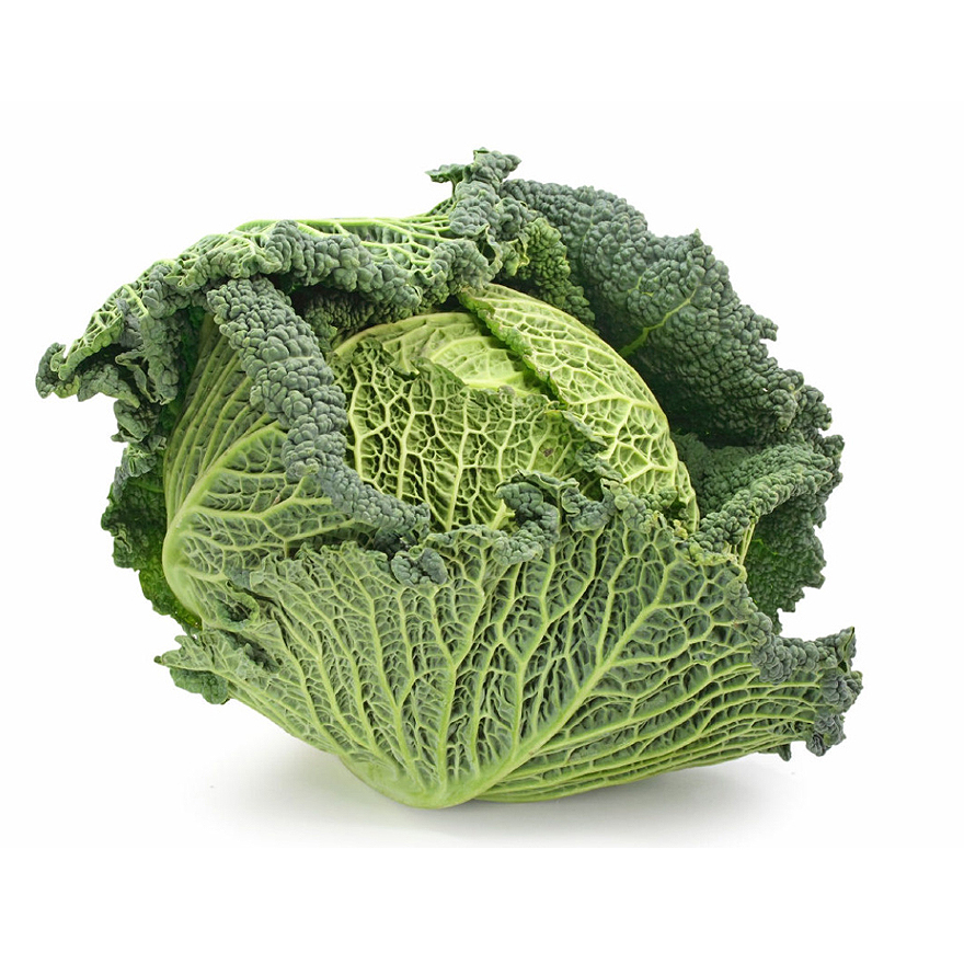 Savoy Cabbage